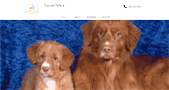 Desktop Screenshot of foxvaletollers.com